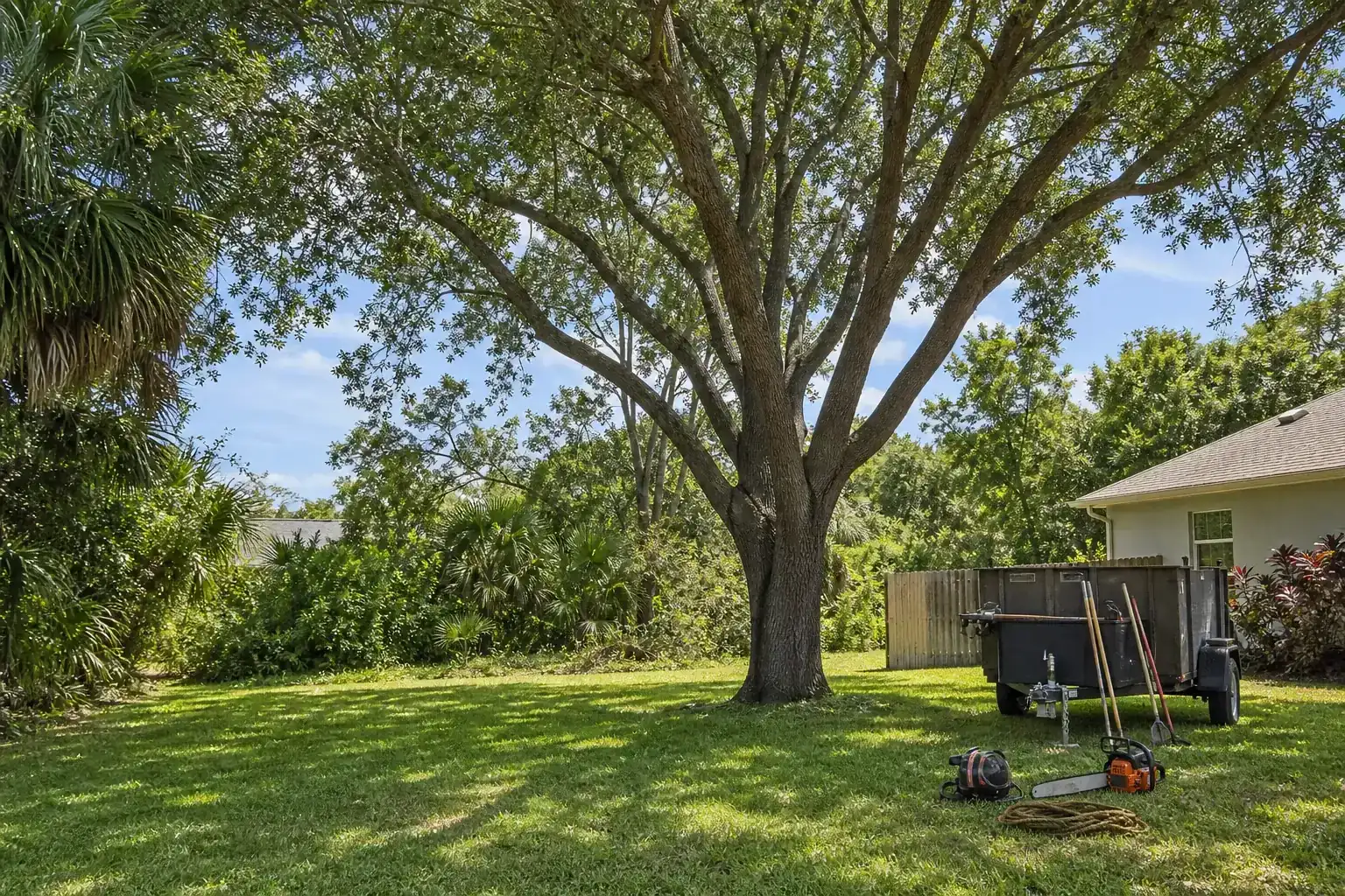 Mature Florida tree in a residential yard for tree removal for fence installation in edgewater, florida