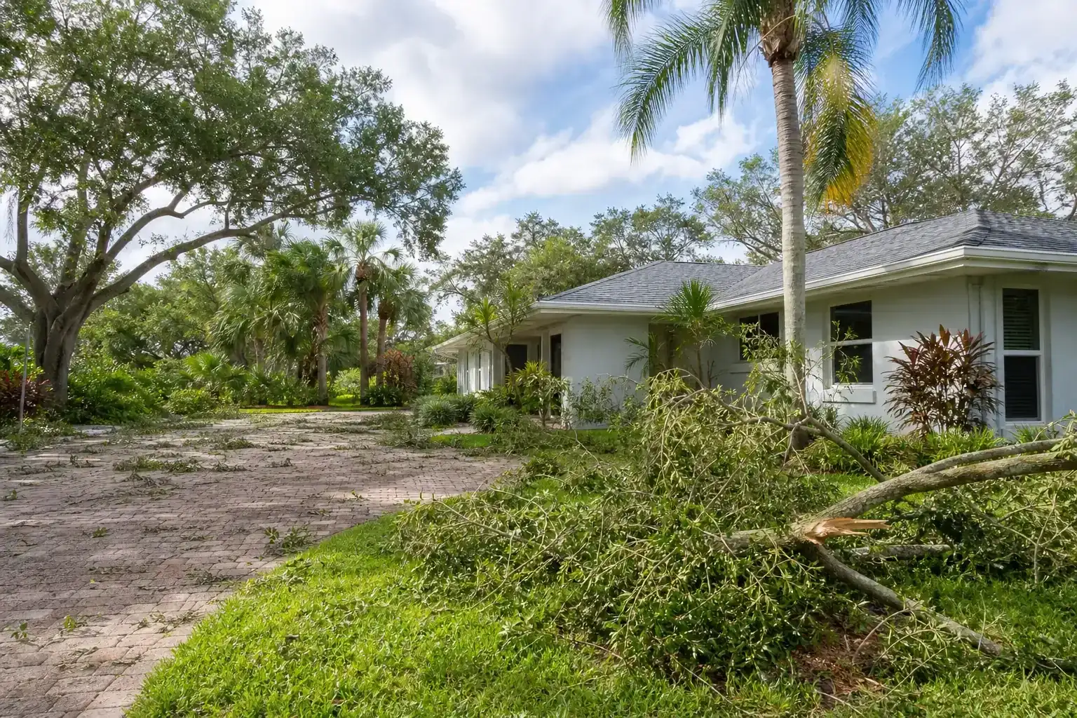 Storm-damaged branches beside a Florida home for tree services in daytona beach, fl for storm prevention Storm-damaged branches beside a Florida home for tree services in daytona beach, fl for storm prevention