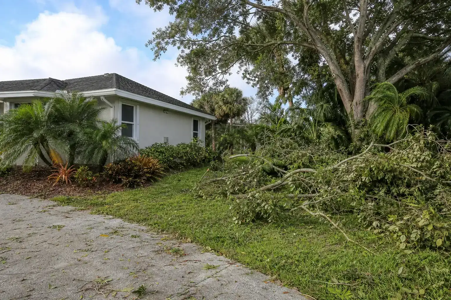 Storm-damaged branches beside a Florida home during a discussion of how storm-ready pruning reduces wind damage Storm-damaged branches beside a Florida home during a discussion of how storm-ready pruning reduces wind damage