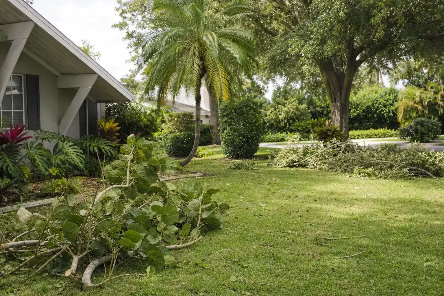 Storm-damaged branches beside a Florida home during a discussion of importance of storm preparedness for trees in sanford, fl
