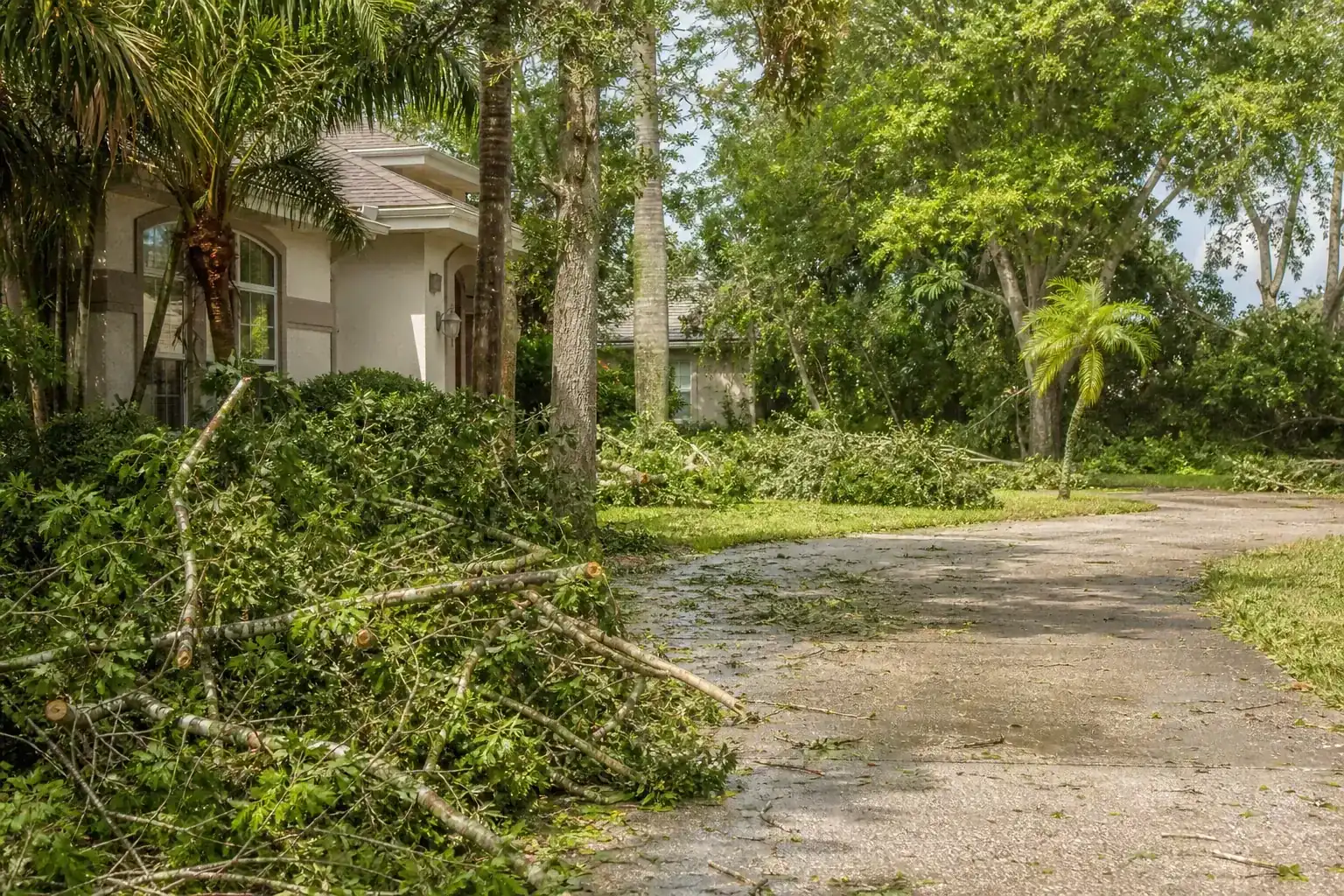 Storm-damaged branches beside a Florida home illustrating understanding tree services in sanford, fl