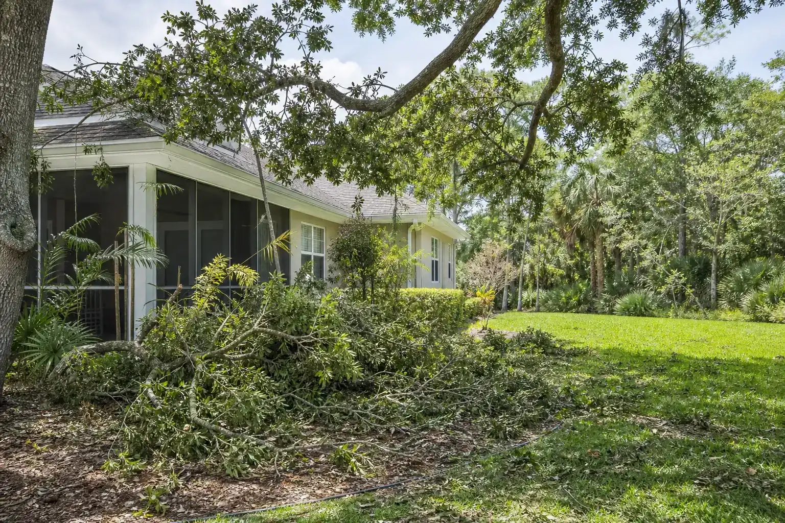 Storm-damaged branches beside a Florida home illustrating begin with the tree and lanai relationship Storm-damaged branches beside a Florida home illustrating begin with the tree and lanai relationship