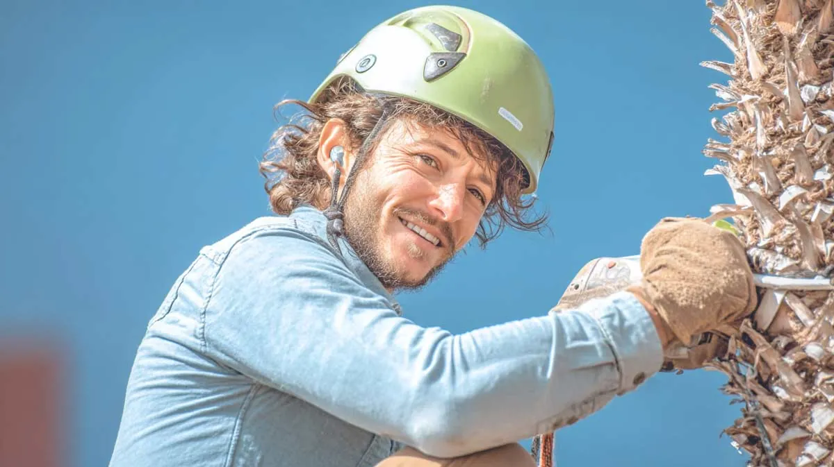 Trees and tree care related to Trusted Arborists Available in Central FL Trees and tree care related to Trusted Arborists Available in Central FL