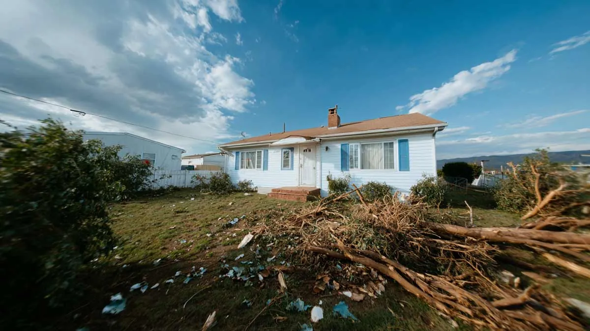 Trees and tree care related to Yard Clearing Glenwood, FL for Outdoor Projects