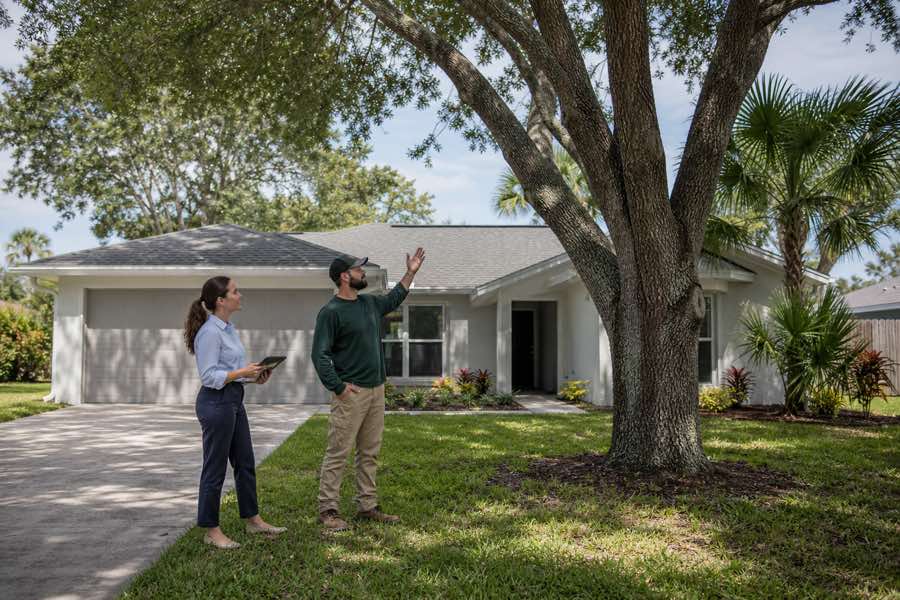 local tree removal services planning at a Daytona Beach, Florida property