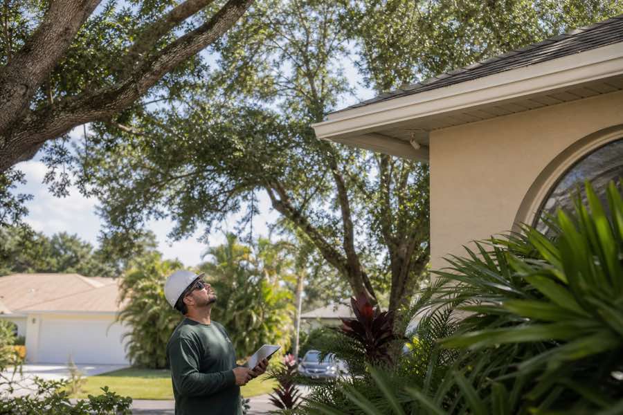 local tree trimming services planning at a Daytona Beach, Florida property