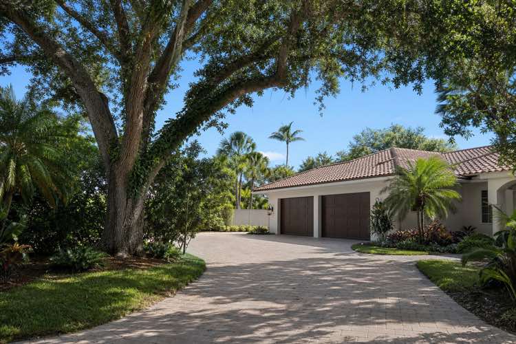 prepare for tree removal planning at a Daytona Beach, Florida property