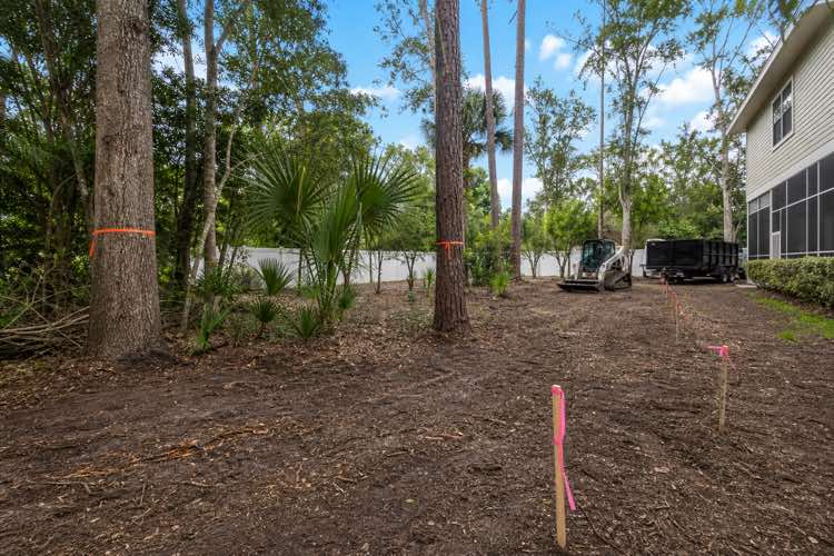 tree and brush removal planning at a Daytona Beach, Florida property