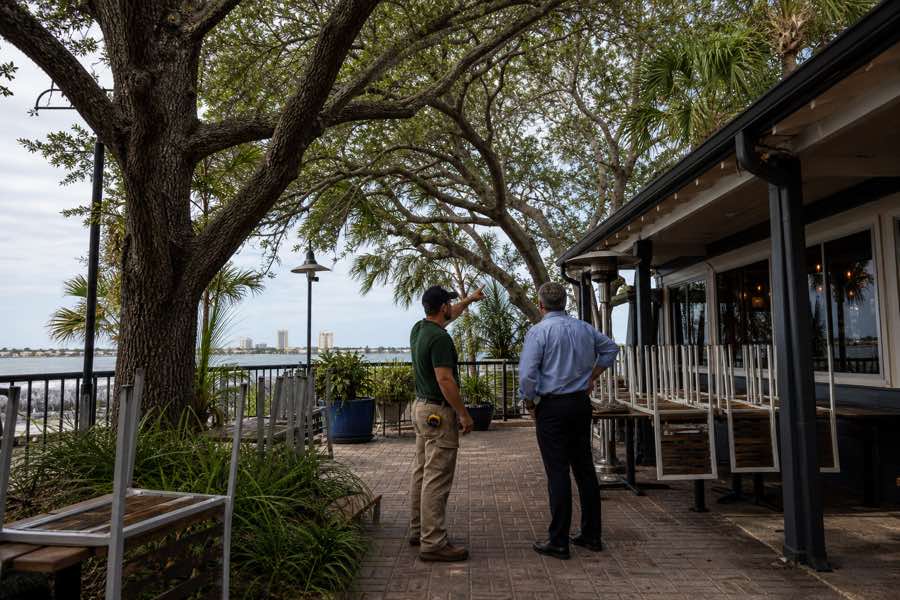 tree care company planning at a Daytona Beach, Florida property