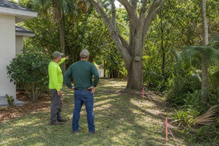 tree removal contractors planning at a Daytona Beach, Florida property