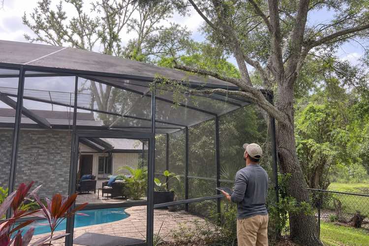 tree trimming quote planning at a Daytona Beach, Florida property
