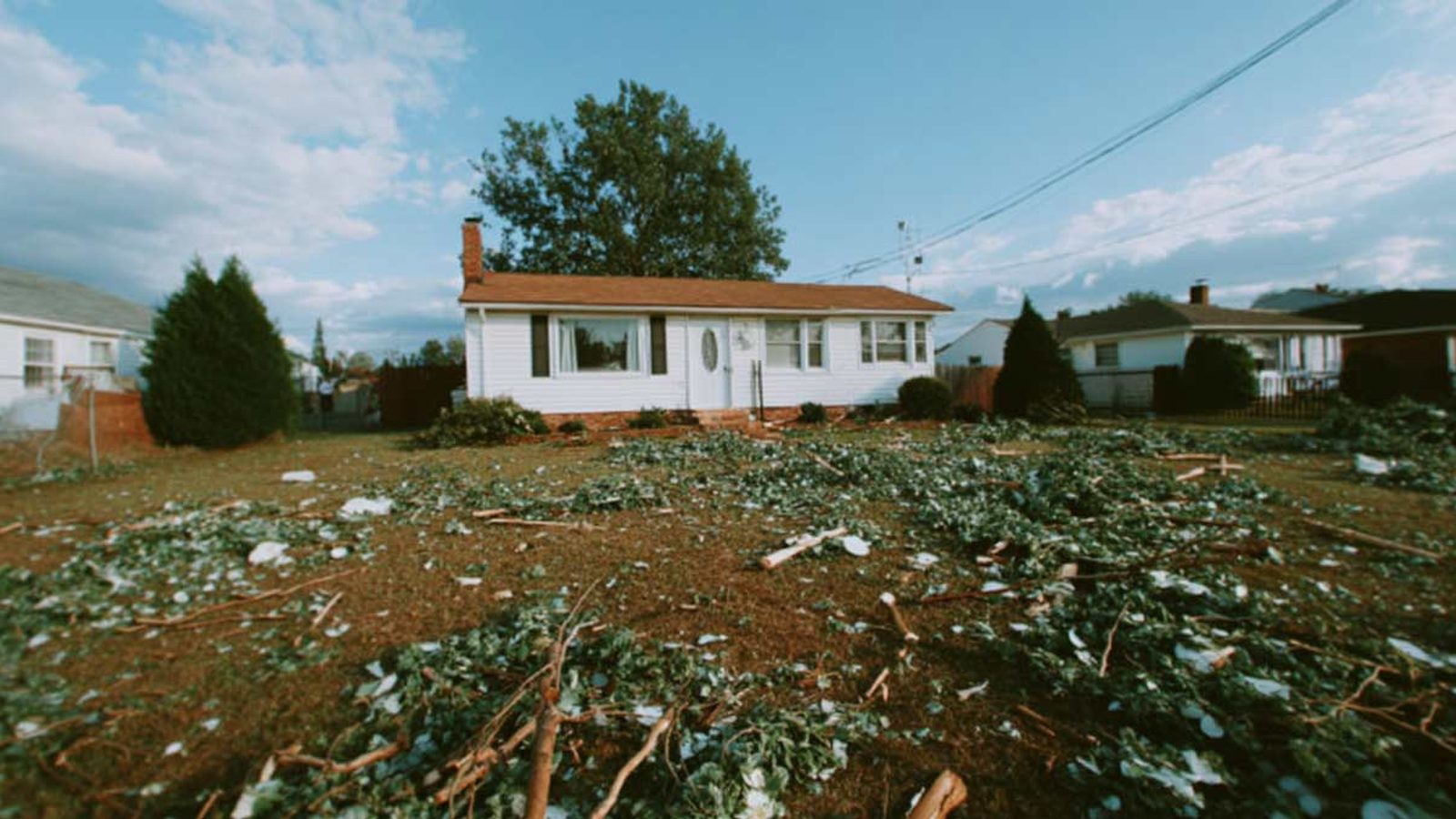 Tree-care scene supporting lot clearing in Pensacola, FL