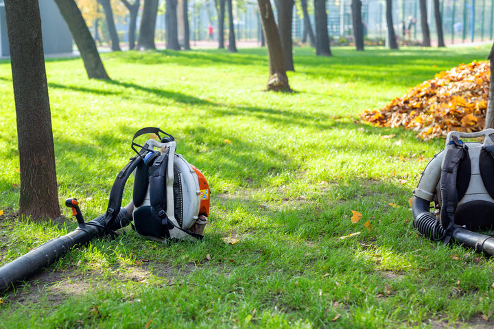 Residential Tree Services Port Orange